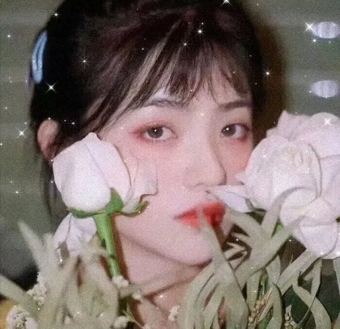 爱似朝阳封面