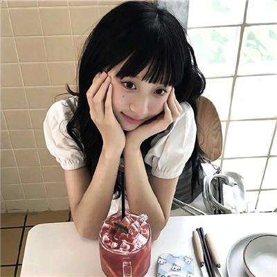 月季花开封面