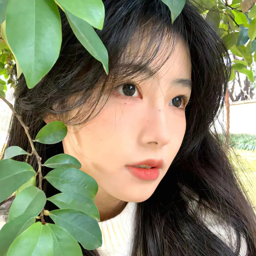 南家三姐妹 甜品别腹封面